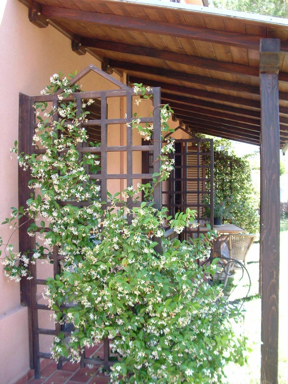 Agriturismo Pian Dei Pini Монтияно Экстерьер фото