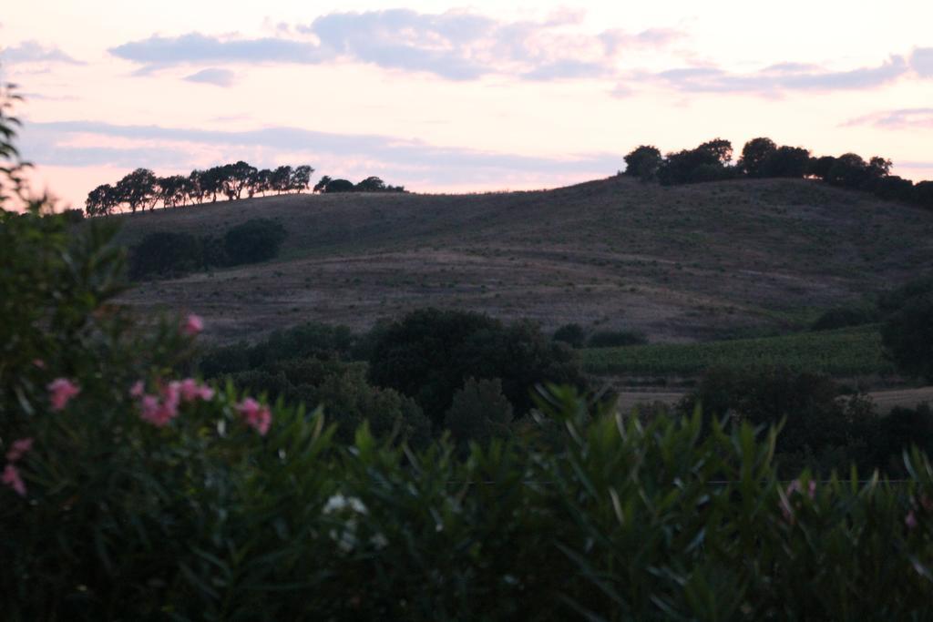 Agriturismo Pian Dei Pini Монтияно Экстерьер фото