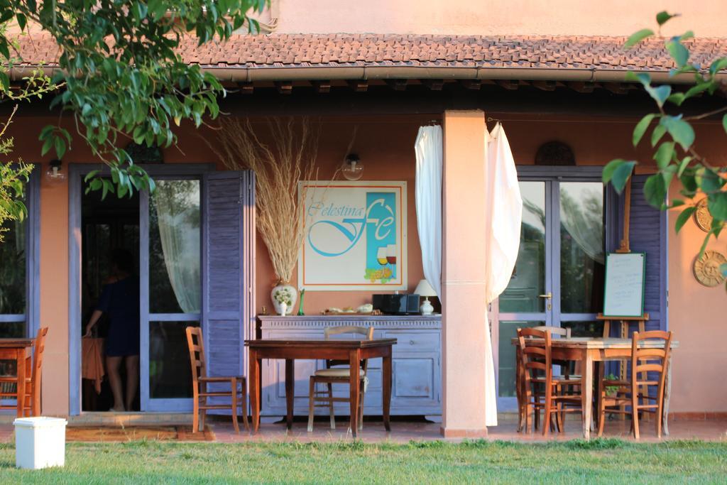 Agriturismo Pian Dei Pini Монтияно Экстерьер фото
